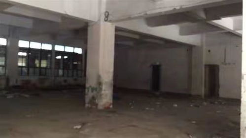 福州市廠房驗廠安全檢測鑒定機構怎么收費 新聞中心