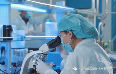 人工智能+生物醫(yī)藥 寶山企業(yè)以國際領(lǐng)先技術(shù)培育高端產(chǎn)品